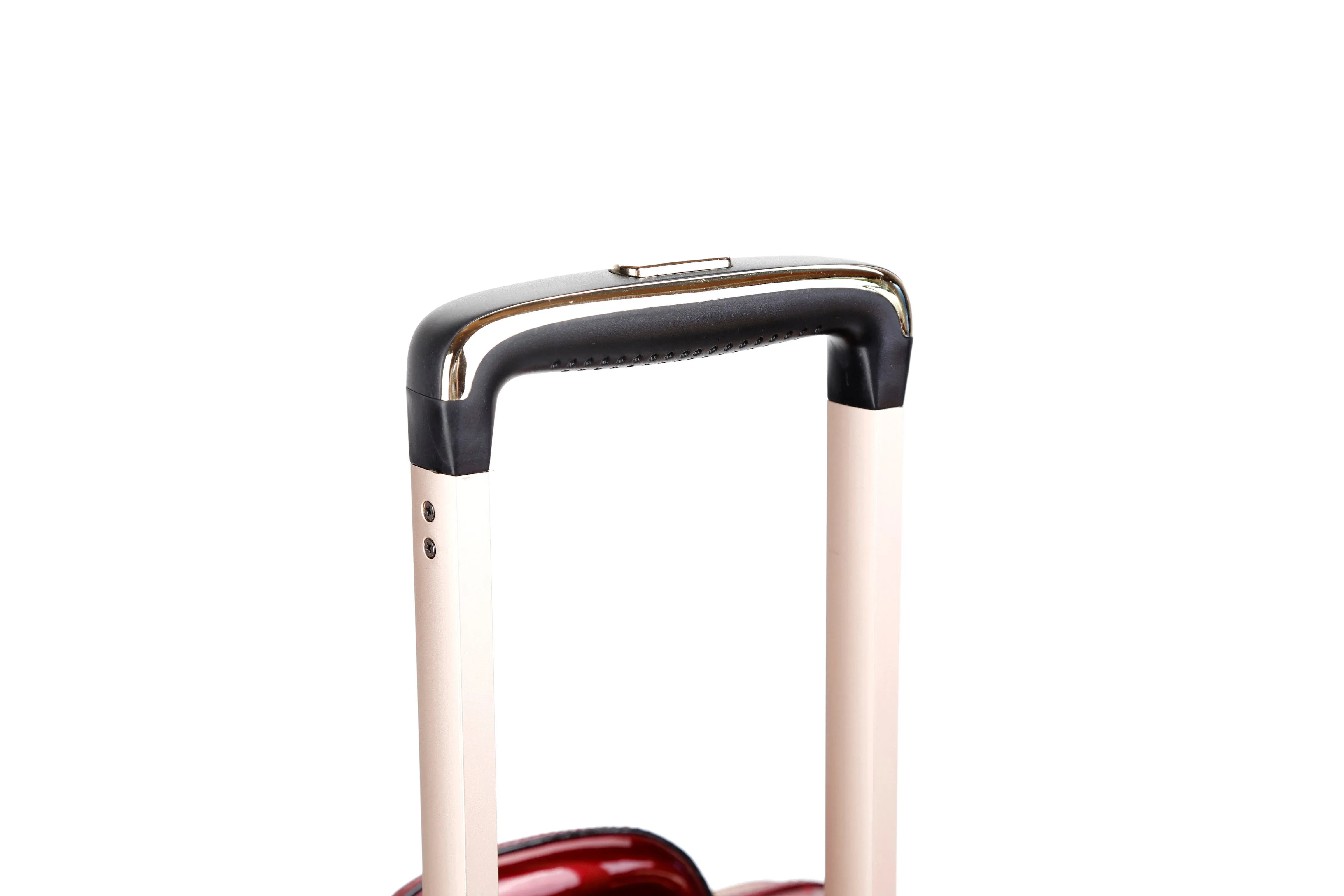 Brangio  Luxurious Glossy Trolley Bag